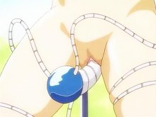 Sexo