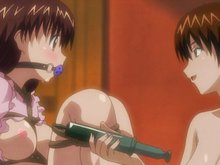 Sexo