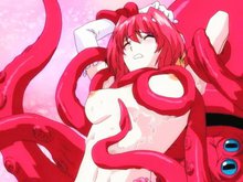 Sexo