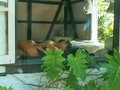 Soft : David et Shana