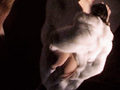 Vid�os de sexe Soft : Carnaval des sens.