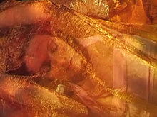 Chaude nuit au Mexique - vid�o sexe soft