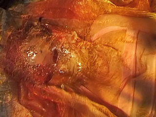 Chaude nuit au Mexique - vidéo sexe soft