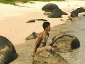 Seule sur une plage déserte, au bout du monde ... - image 25