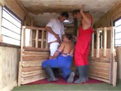 I ragazzi della stalla sesso video gay