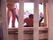 I ragazzi della stalla video porno gay