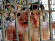 Anal paintball in Vincennes: Two servicemen screw in a bunker