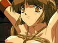 video Manga / Hentai