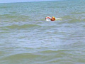 Un voyeur filme en douce une �tudiante sur une plage naturiste