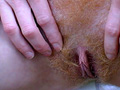 Une roussette vous invite � la mater se faire du bien.