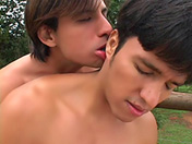 Sodomie champ�tre x video gay