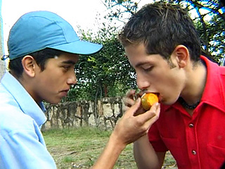 vidéo