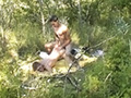 Baise campagnarde pour jeunes gays bien montés