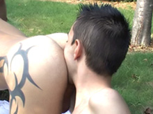 Partouze Gay dans le jardin