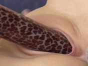 Dildoing close-up (2-video pack) xxx videos