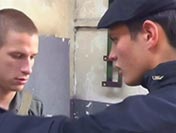 Ces minets aiment sucer de grosses bites