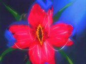 La plante qui aimait tentaculer les femmes